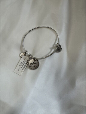Alex and Ani MLB Silver Charm Bangle Bracelet